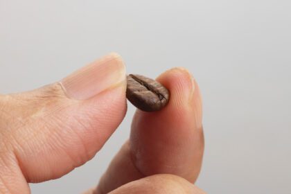 دانلود عکس انتخاب دانه های قهوه برای شما