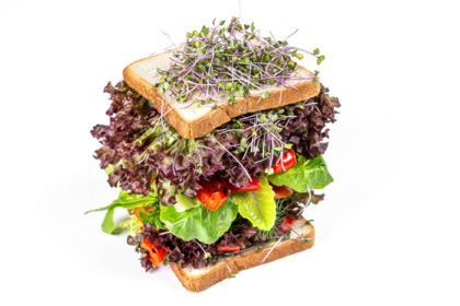 دانلود عکس ساندویچ با سبزیجات کاهو و میکروگرین روی یک سفید