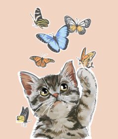 دانلود تصویر گربه ناز بازی با پروانه ها