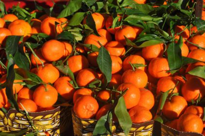 دانلود عکس غذای میوه نارنگی