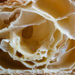 سبد خرید و پرداخت