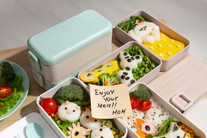دانلود عکس نمای بالا ترکیب غذای ژاپنی بنتو باکس