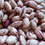 دانلود طرح تی شرت فقط بخند و زندگی طولانی تر تایپوگرافی