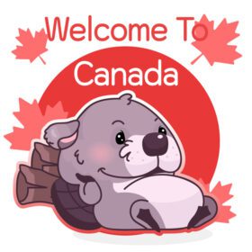 دانلود بیور تنبل زیبا نماد کانادایی شخصیت kawaii اجتماعی