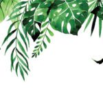 سبد خرید و پرداخت