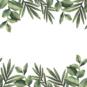 دانلود قاب آبرنگ شاخه های سبز گرمسیری نقاشی شده با دست