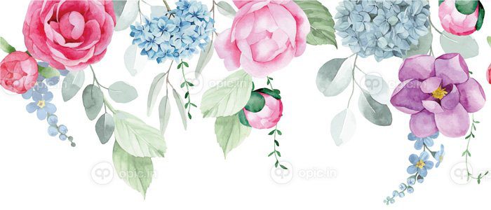 دانلود قاب حاشیه بدون درز آبرنگ با گل اکالیپتوس