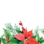 سبد خرید و پرداخت