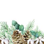 سبد خرید و پرداخت