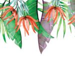 دانلود وکتور مجموعه تک شاخ خوابیده به سبک آبرنگ زیبا