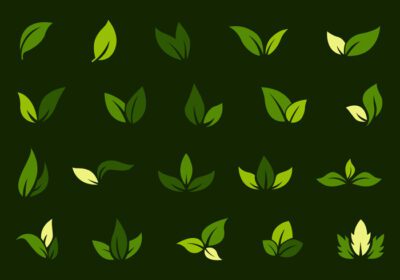 دانلود آیکون لوگوی برگ سبز اکولوژی عنصر طبیعت وکتور آیکون اکو