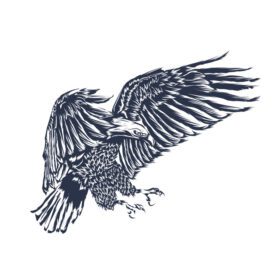 دانلود اثر هنری تصویرسازی عقاب