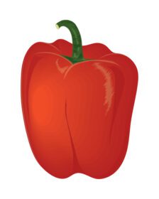 دانلود آیکون فلفل قرمز نماد سبزیجات