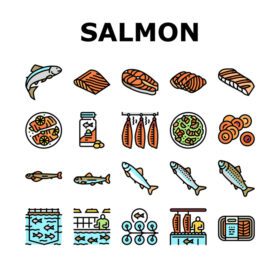 دانلود آیکون ماهی سالمون ماهی خوشمزه مجموعه آیکون های غذاهای دریایی وکتور