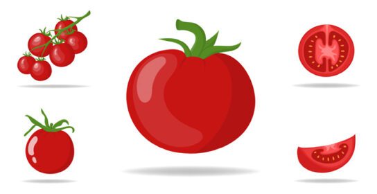دانلود مجموعه آیکون گوجه فرنگی قرمز تازه جدا شده در پس زمینه سفید