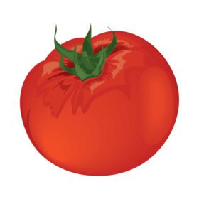 دانلود آیکون گوجه فرنگی نماد سبزیجات