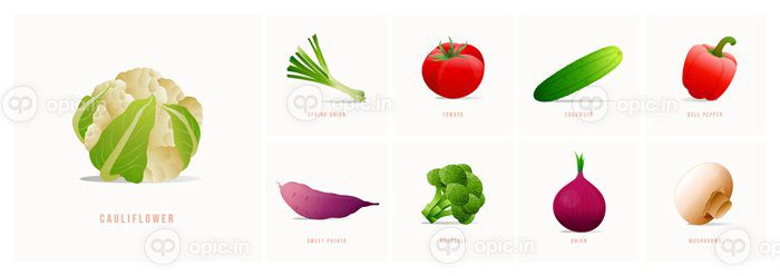 دانلود آیکون وکتور آیکون سبزیجات مجموعه در مزرعه مجموعه سبک مدرن