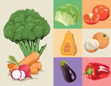 دانلود آیکون سبزیجات غذای سالم نه آیکون