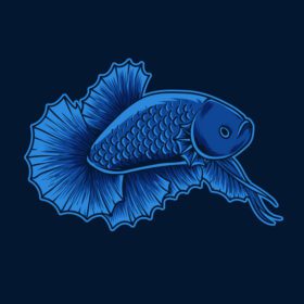 دانلود تصویر زیبای بتا ماهی رنگ آبی