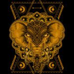 سبد خرید و پرداخت