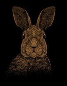 دانلود تصویرسازی خرگوش با سبک حکاکی
