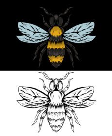 دانلود تصویر وکتور حشره زنبور عسل با رنگی و سیاه و سفید