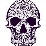 سبد خرید و پرداخت