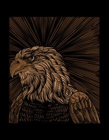 دانلود تصویرسازی عقاب قدیمی با سبک حکاکی
