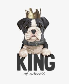 دانلود شعار پادشاه ناز با سگ ناز با تاج طلایی