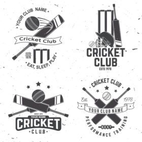 دانلود مجموعه ای از نشان های باشگاه کریکت مفهوم وکتور برای تمبر پیراهن