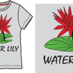 سبد خرید و پرداخت