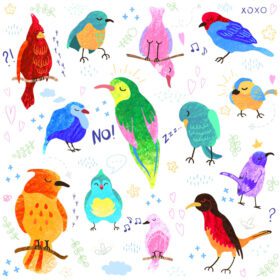دانلود وکتور مجموعه رنگارنگ با تصاویر پرندگان ناز جدا شده در پس زمینه سفید می تواند به عنوان المان طراحی شما برای کارت تبریک کارت پستال مهد کودک کارت بسته بندی جشن تولد استفاده شود.