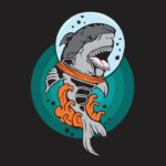 سبد خرید و پرداخت