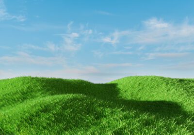 دانلود عکس رندر سه بعدی زمین چمن سبز روی پس زمینه آسمان آبی