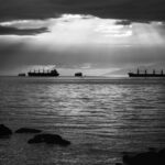 دانلود والپیپرهای گل رز غنچه رنگارنگ از نزدیک