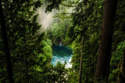 دانلود عکس نمایی از بدنه آبی در جنگل