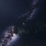 سبد خرید و پرداخت