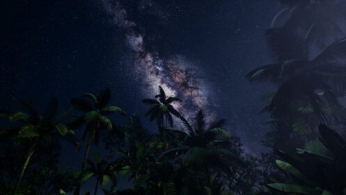 دانلود عکس k astro از کهکشان راه شیری بر فراز جنگل های بارانی استوایی