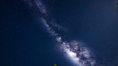 دانلود عکس k astro از کهکشان راه شیری بر فراز جنگل های بارانی استوایی