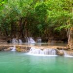 سبد خرید و پرداخت