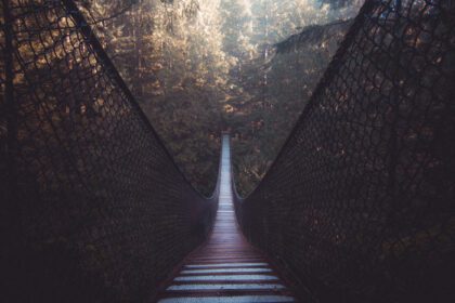 دانلود عکس نمایی از پل چوبی در جنگل
