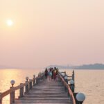 دانلود عکس از نزدیک و نمای بالا تعداد زیادی زغال اخته بلوبری تیره