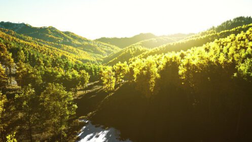 دانلود عکس نمای هوایی پهپاد از جنگل کوهستانی با پاییز رنگارنگ