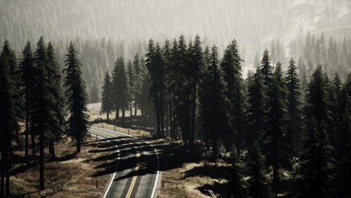 دانلود عکس نمای هوایی در جاده پر پیچ و خم در روز تابستان