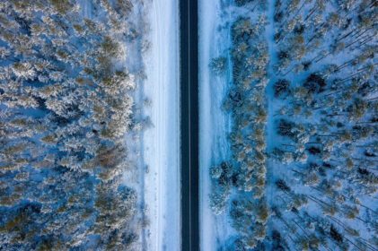 دانلود عکس نمای هوایی در جاده و جنگل در فصل زمستان