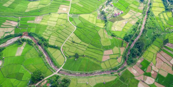 دانلود عکس نمایی هوایی از منظره مزرعه سبز برنج