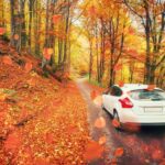 سبد خرید و پرداخت