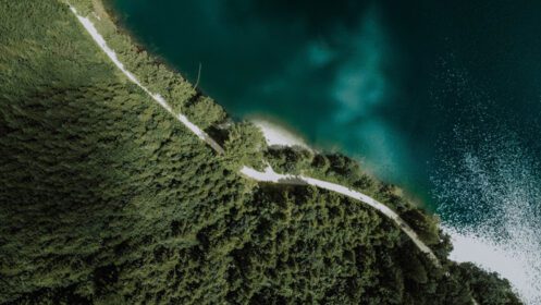 دانلود عکس نمایی هوایی از جاده ای در کنار آب و جنگلی سرسبز