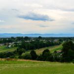 وکتور پوستر پوستر طرح نان برای مغازه نانوایی