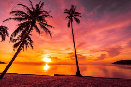دانلود عکس در زمان غروب آفتاب در ساحل و دریا گرمسیری با نارگیل